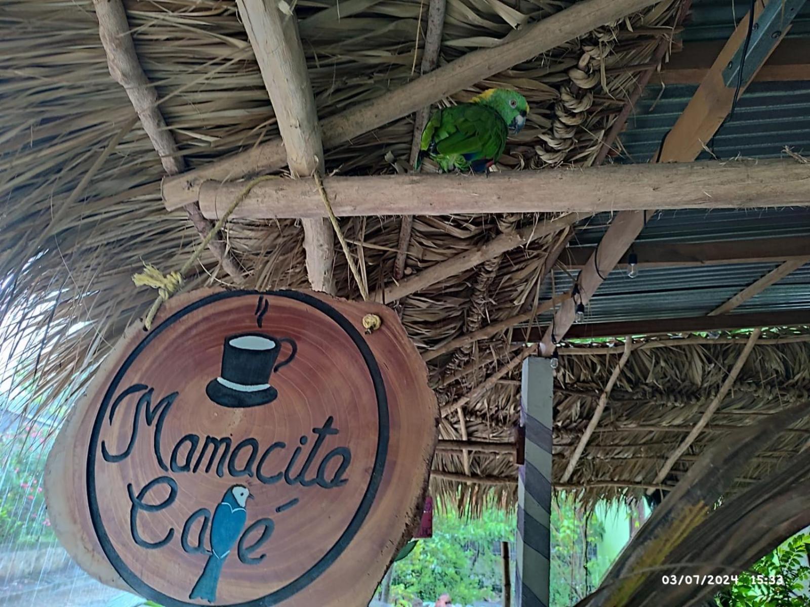 莫约加尔帕 Mamacita Cafe House酒店 外观 照片