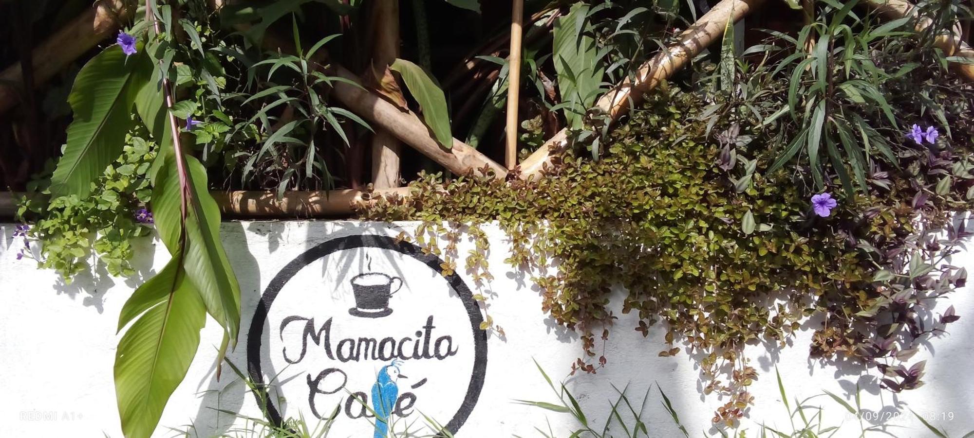 莫约加尔帕 Mamacita Cafe House酒店 外观 照片